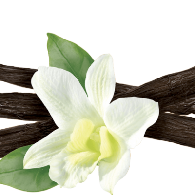 Vanilės maceratas: pasigaminkime namie kvapnų aliejų kūnui